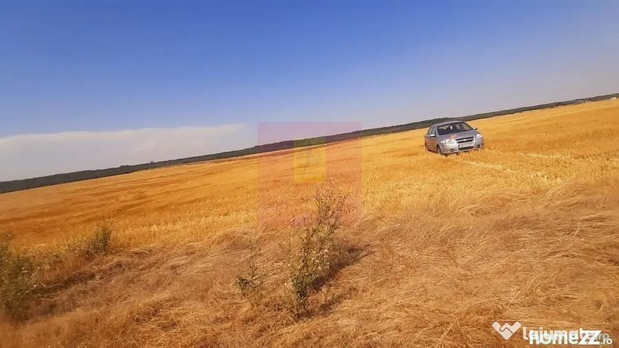 Teren de 2000 mp, în Brănești