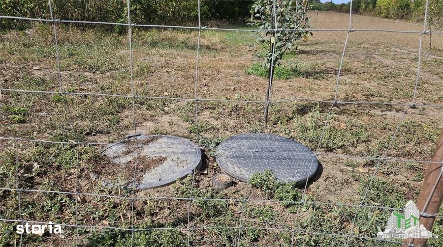 Teren de 2431 mp, în Măgurele