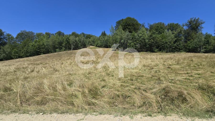Teren agricol extravilan de 36200 mp, în Poiana Mărului