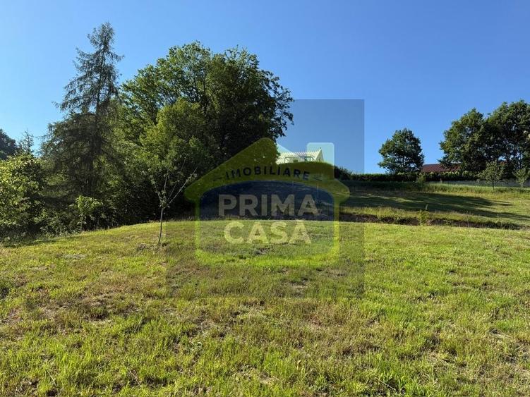 Teren Construcții intravilan de 3434 mp, în Valea Roșie
