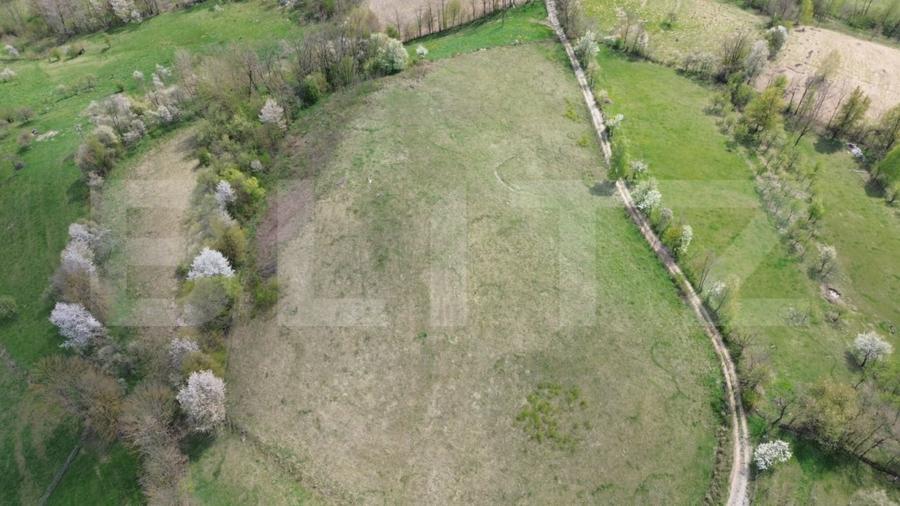 Teren agricol extravilan de 16871 mp, în Almașu Mare
