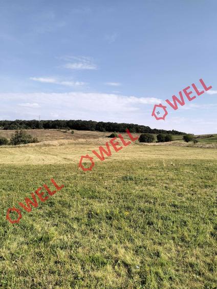 Teren intravilan de 11900 mp, în Periferie