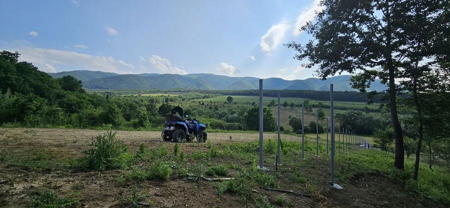 Teren de 2700 mp, în Tălmaciu