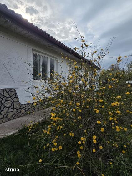 Casă cu 4 camere cu Teren 1500 Mp în Zamostea
