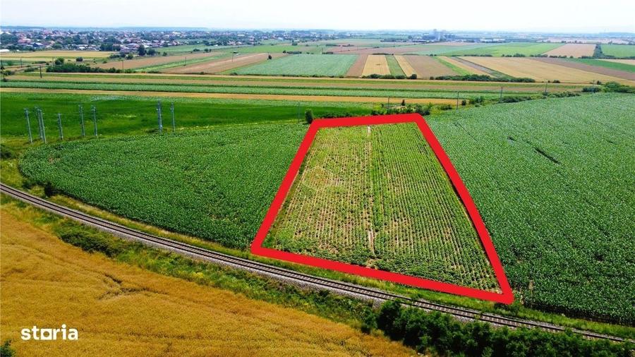Teren extravilan - 5.000 m2 in Botiz | 3 km de Satu Mare - 7