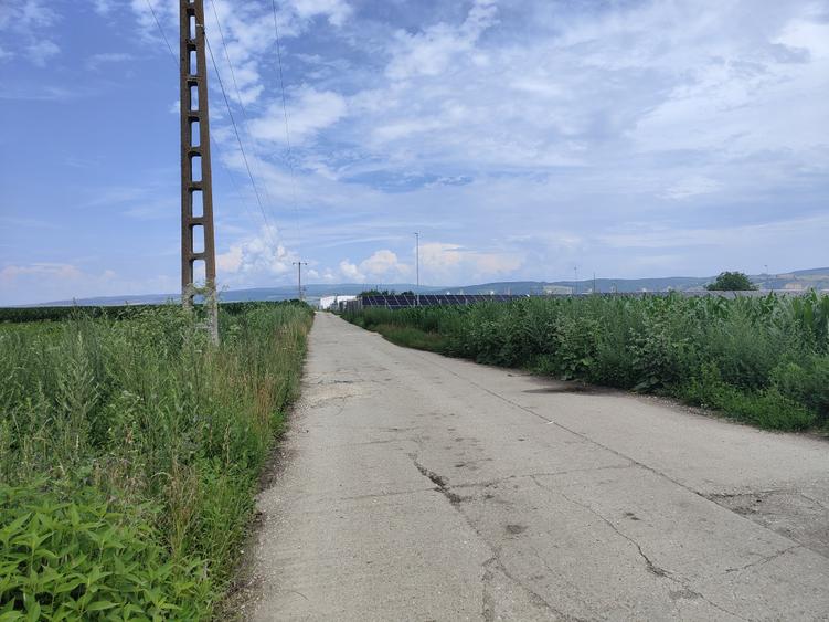Teren Construcții intravilan de 15000 mp, în Bod