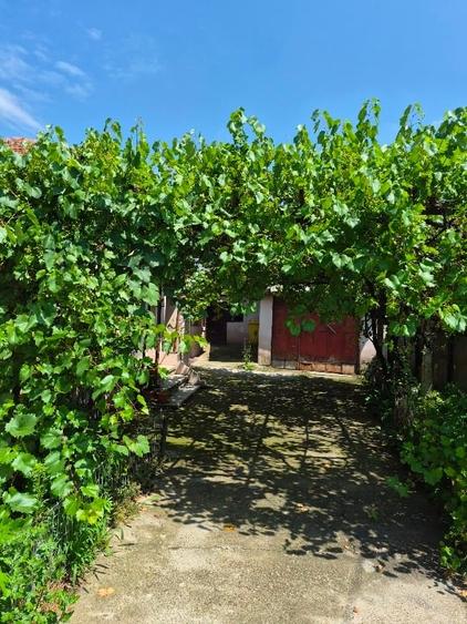Casă cu 3 camere cu Canalizare în Brestei