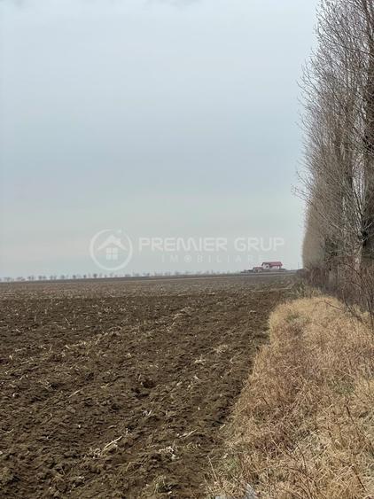 Teren agricol extravilan de 20000 mp, în Miroslava