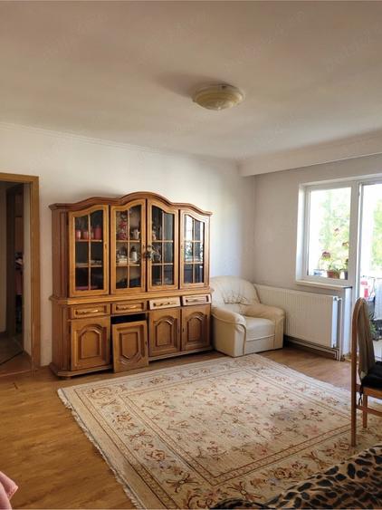 Apartament cu 3 camere semidecomandat în Banat