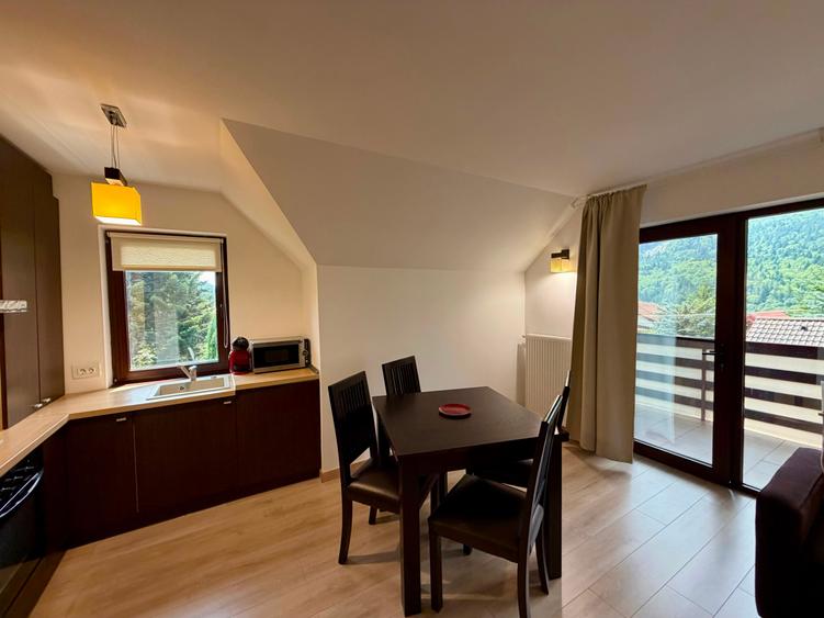 Apartament cu 2 camere în Piatra Arsă