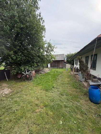 Teren de 2600 mp, în Șerbăuți