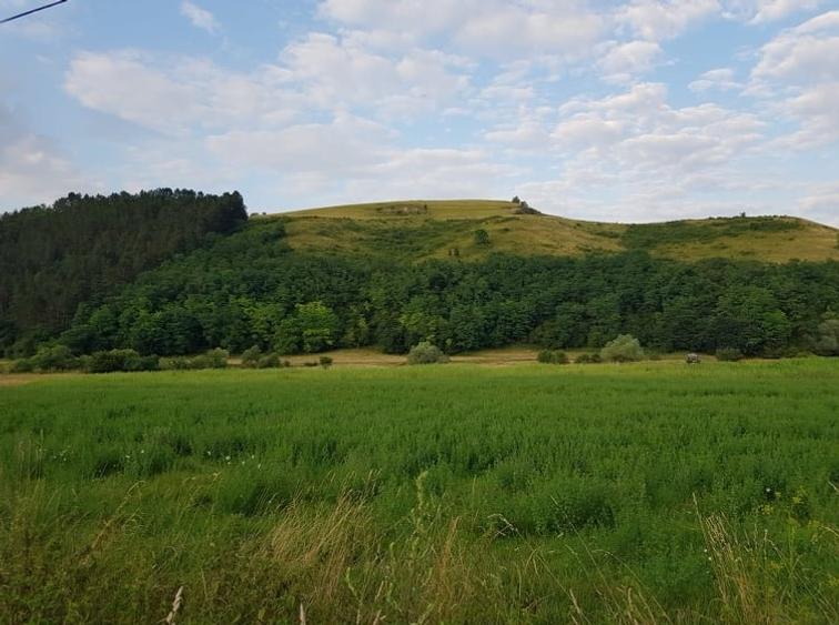 Teren Construcții intravilan de 900 mp, în Luna de Sus