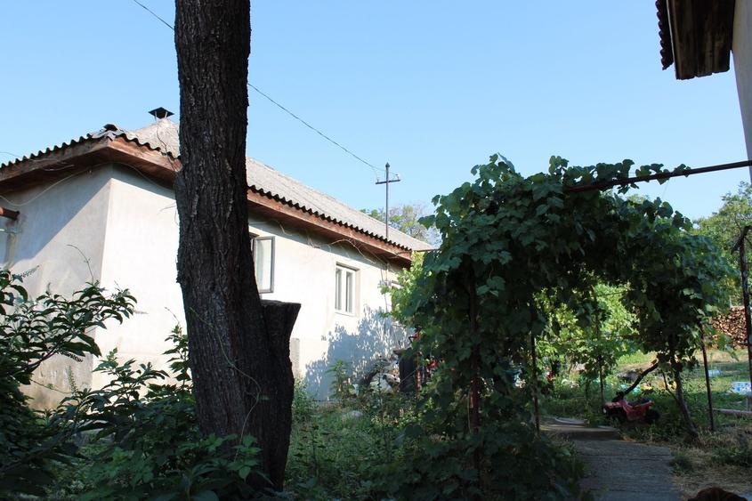 Casă cu 2 camere în Central
