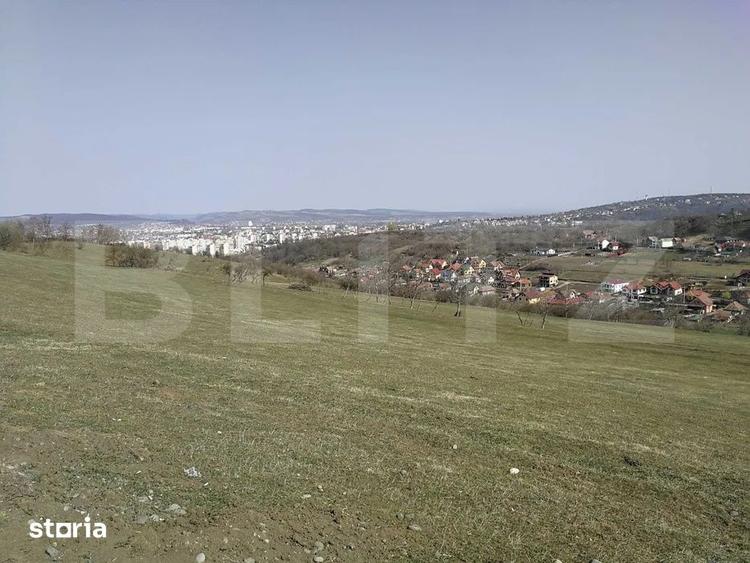 Teren de 15904 mp, în Dâmbu Pietros