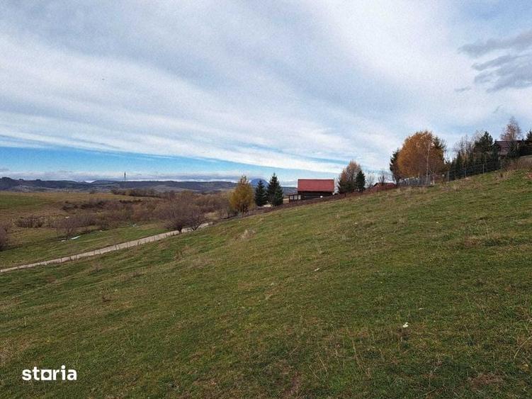 Teten intravilan Bran - Sohodol - 7
