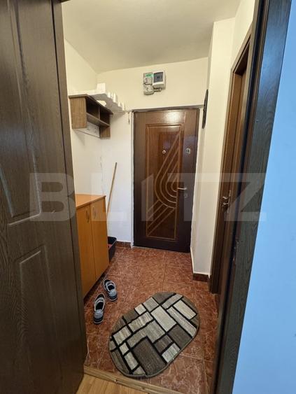 Garsonieră decomandată, mobilată în Lăpuș Argeș
