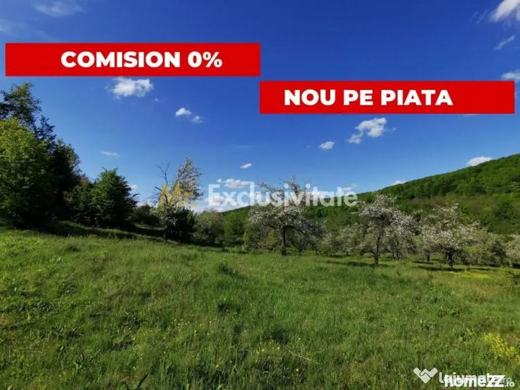 Teren în Budeasa
