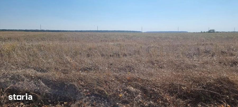 Teren de 10000 mp, în Balotești