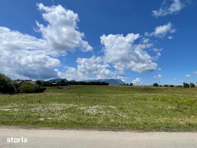 INVESTI?IE | Teren 5000 mp PUZ APROBAT intravilan - zona Sohodol -Bran - 9