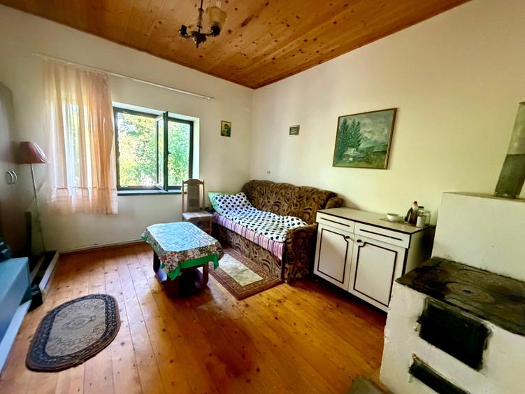 Casă individuală cu 4 camere cu Teren 6642 Mp în Pianu de Sus