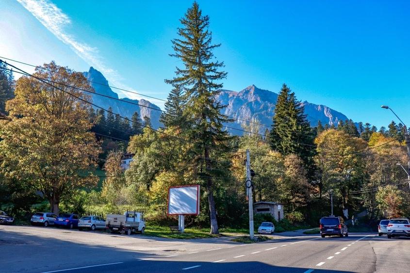 Teren Construcții intravilan de 8200 mp, în Bușteni