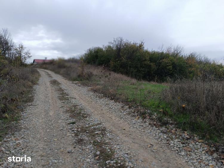 Teren Simnic sat Cornetu 2200mp,deschidere 23mp 1100 intravilan - 1