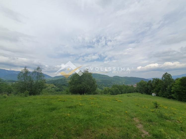 Teren Construcții intravilan de 11396 mp, în Moieciu de Jos