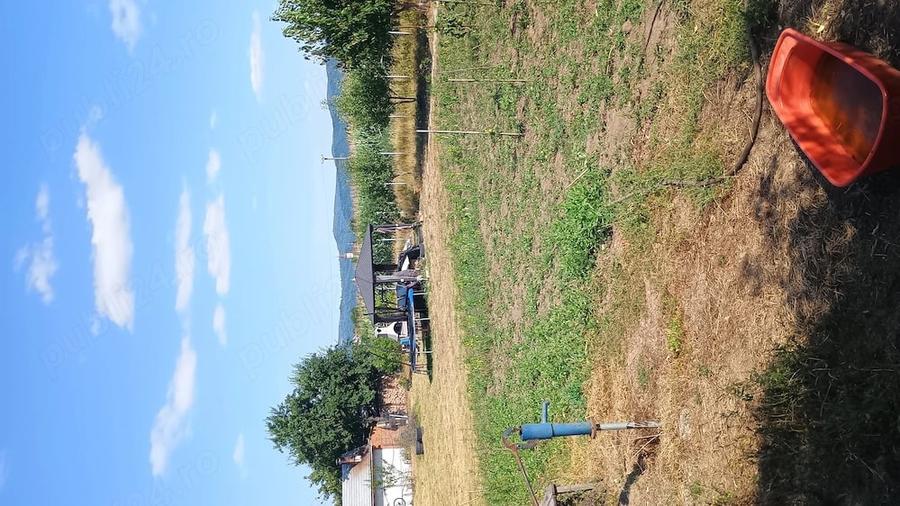 Teren de 1000 mp, în Letea