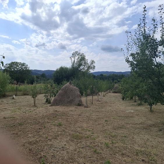 Teren de 7500 mp, în Cărpeniș