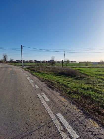 Teren în Măgurele