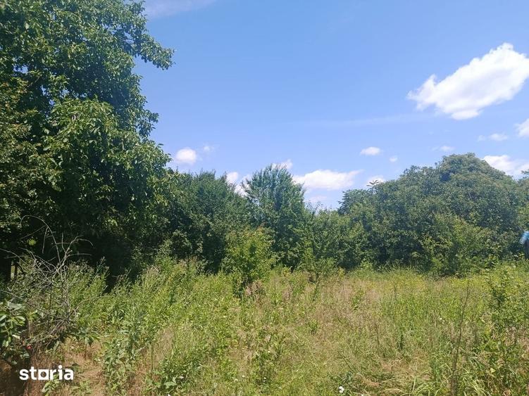 Casa de vanzare in Pitaru, jude?ul Dambovi?a 35.000 negociabil - 8