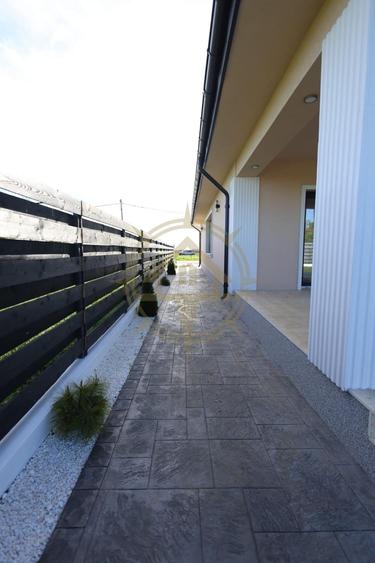 DOM00276 - Casa 4 camere parter Crevedia-Samurcasi - 5
