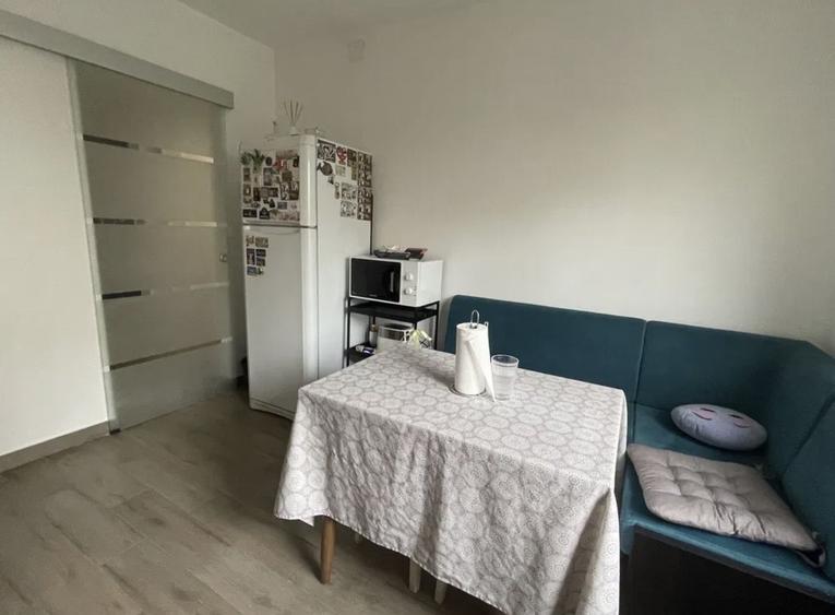AP. 2 CAMERE- IANCULUI, PET-FRIENDLY, BUCATARIE INCHISA, REABILITAT - 4