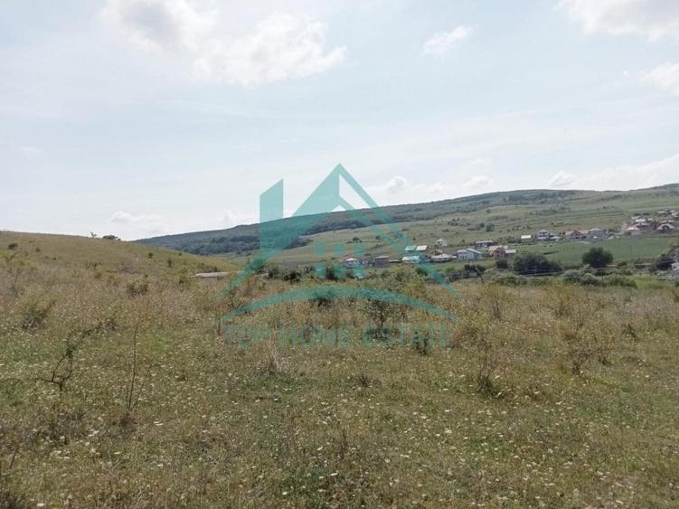 Teren agricol extravilan de 5000 mp, în Exterior Nord