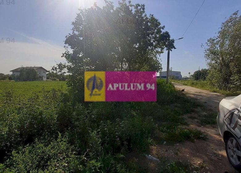 Teren Construcții intravilan de 5000 mp, în Copăceni