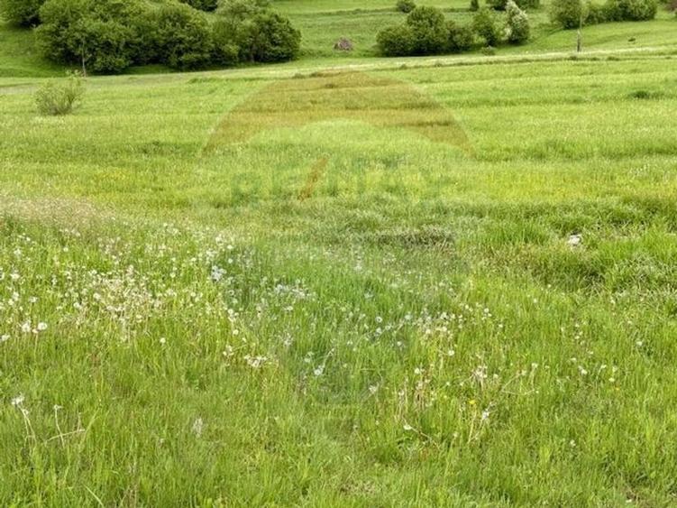 Teren agricol extravilan de 20876 mp, în Breb