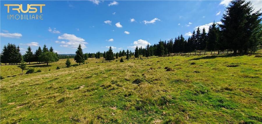 Oportunitare | Teren 1350 mp cu PUZ | Belis - 8