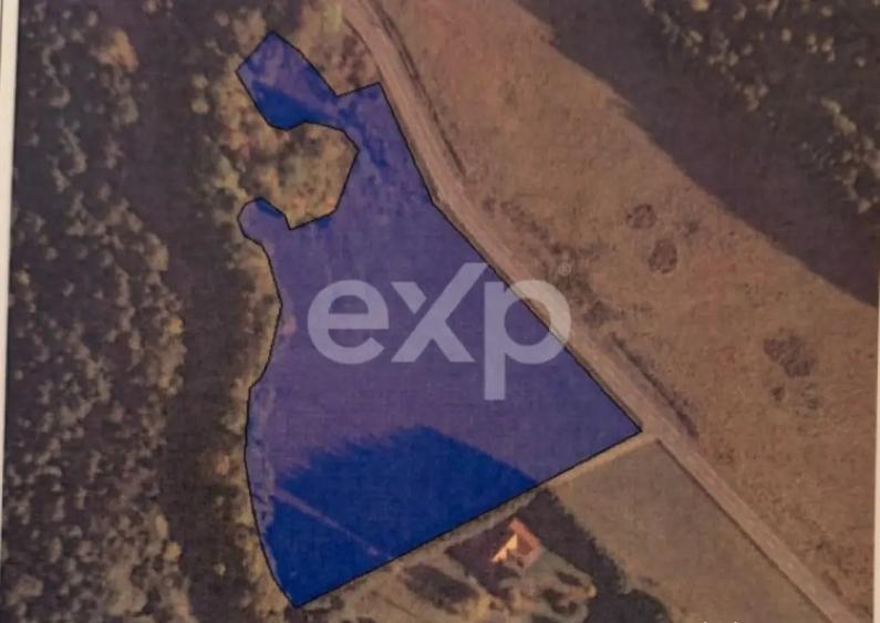 Teren extravilan 19.200 mp DN1A Sacele, Bradet | Front - 2