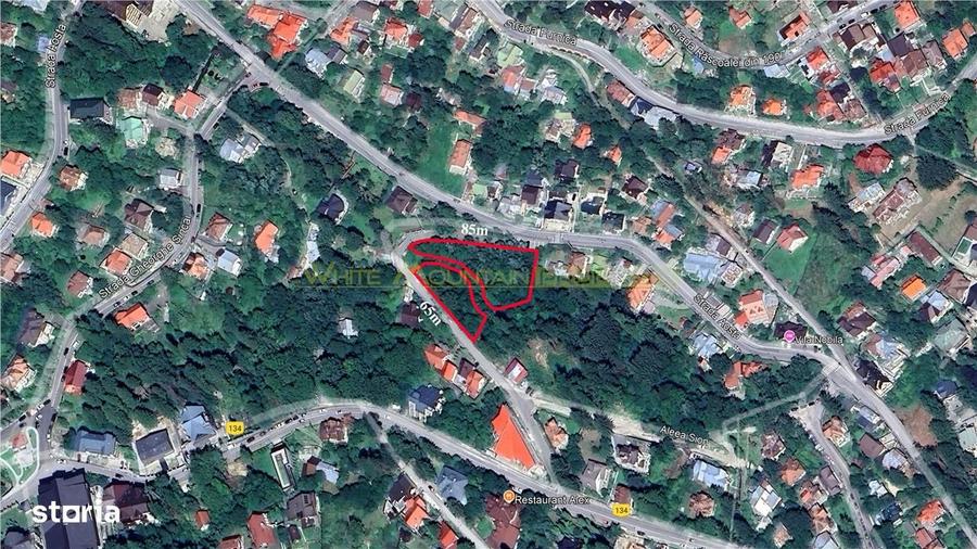 Sinaia, teren 3252 mp - 2