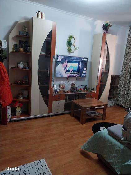 2 CAMERE PARTER CURTE PROPRIE/PRELUNGIREA FERENTARI - 8