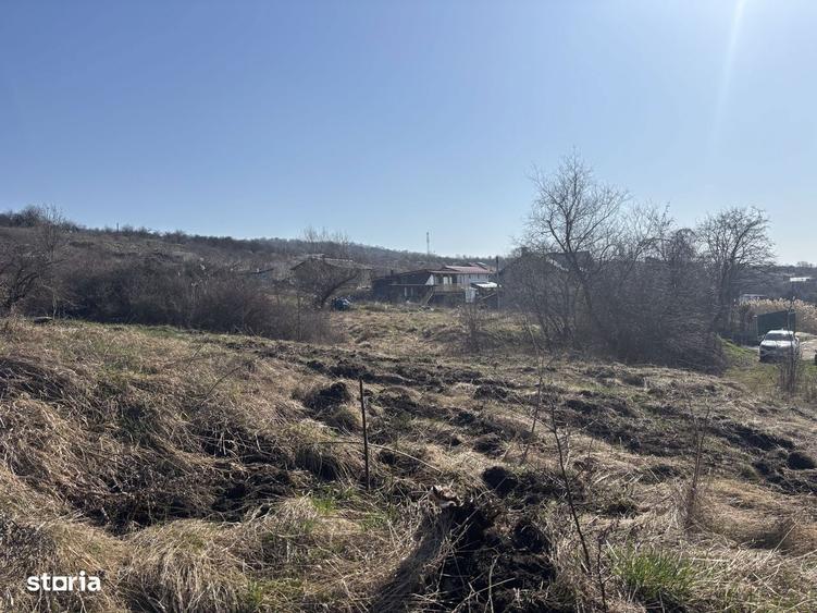 Teren Pomet/3 km Auchan - 3