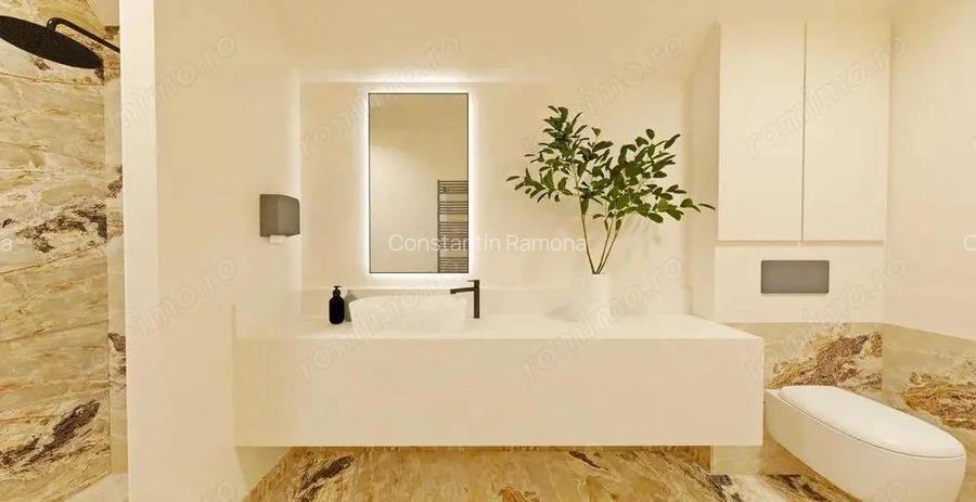 Platou Cornesti - Inchiriere spatiu premium - Str. Alunis