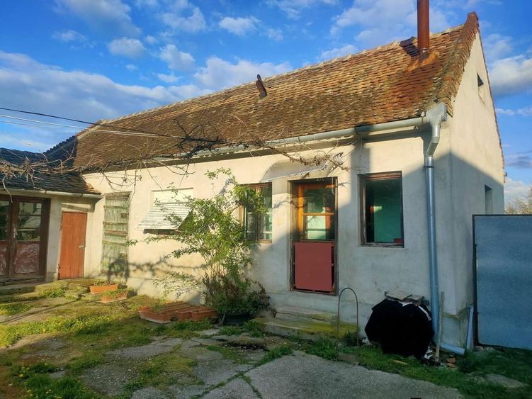 Vand casa cu gradina - 2