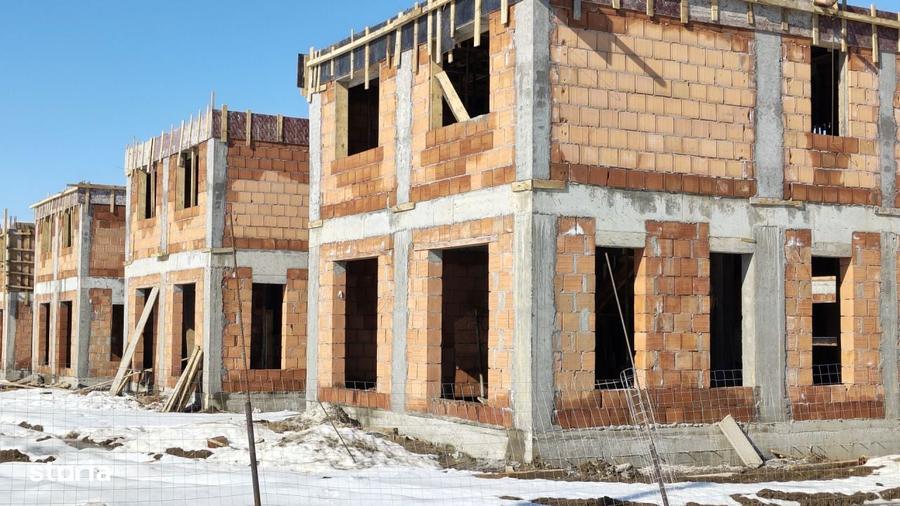 Vile individuale padurea Rosu - 8