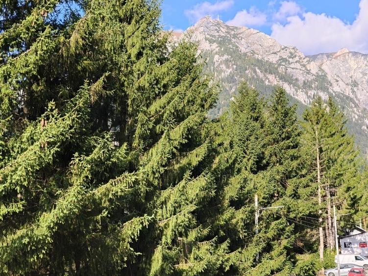 Apartament 2 camere in vila de vanzare in Busteni - 1