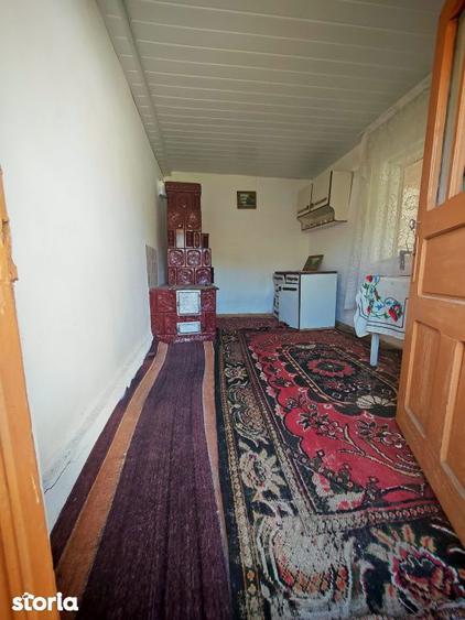 2 Case + teren 3233 mp Darmanesti Arges - 14