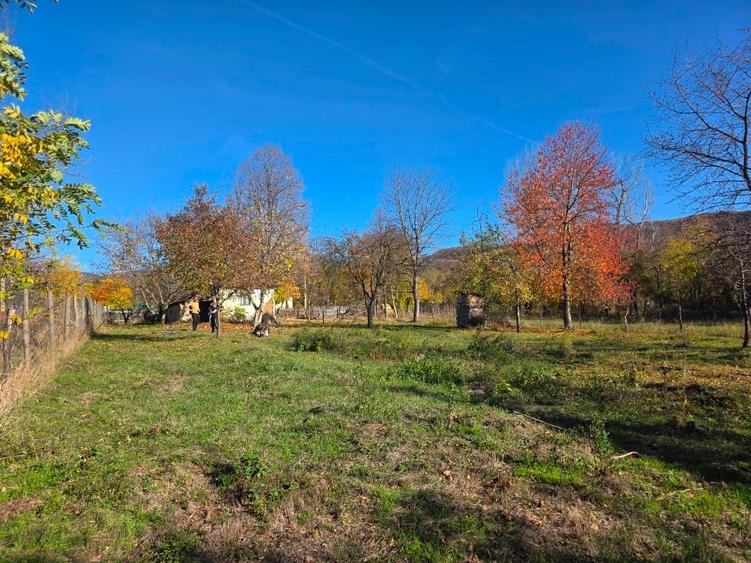 Teren intravilan in Buzau, sat Tega, 3300 mp - 3