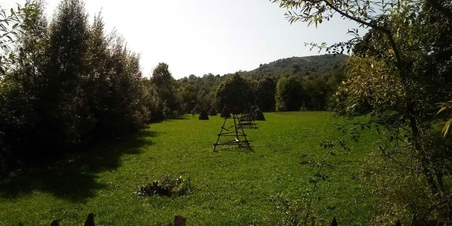 Teren intravilan Valea Doftanei, sat Tesila, Prahova - 1