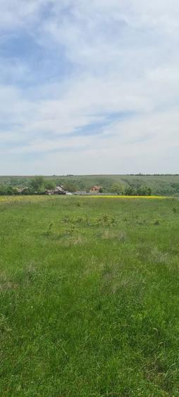 Teren 4700 intravilan de vanzare sau schimb cu garsoniera - 8