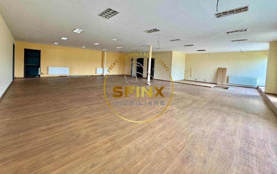 Hala si birouri zona Mogosoaia sos Odai - 11